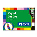 BOLSON PAPEL LUSTRE 20 H