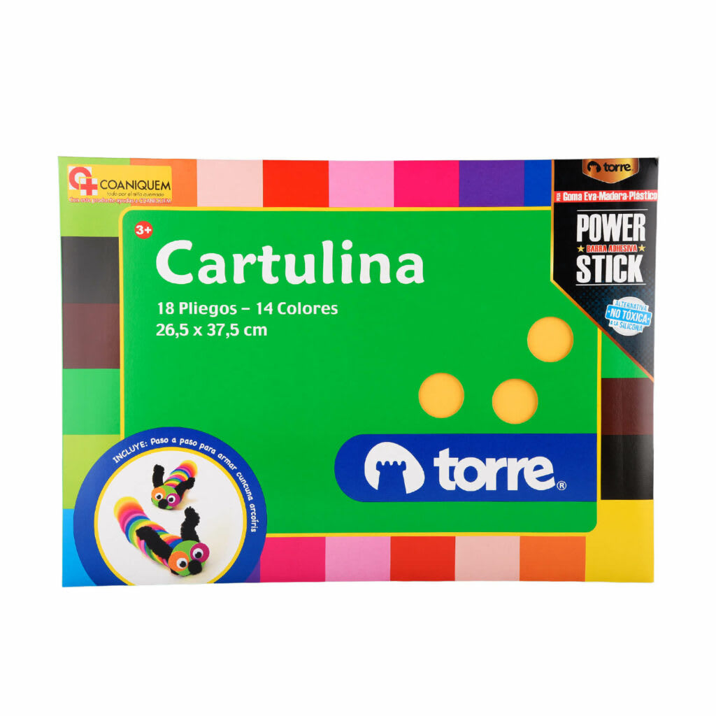 BOLSON CARTULINA
